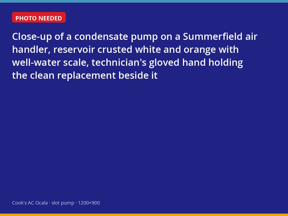 Scaled condensate pump from a well-water home in Summerfield next to a new one